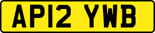 AP12YWB