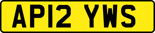AP12YWS