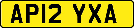 AP12YXA