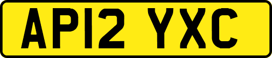 AP12YXC