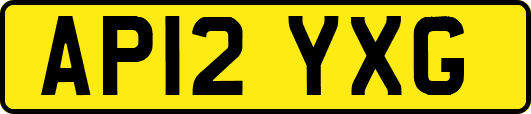 AP12YXG