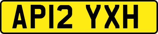 AP12YXH