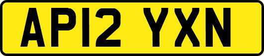 AP12YXN