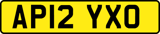 AP12YXO