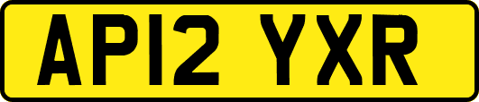 AP12YXR