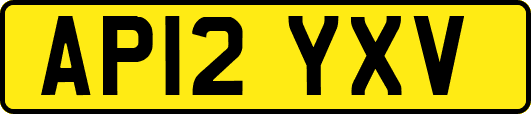 AP12YXV