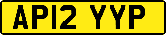 AP12YYP