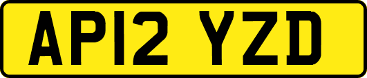 AP12YZD
