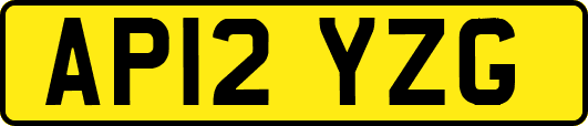 AP12YZG