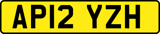 AP12YZH