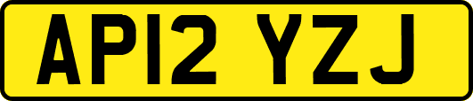 AP12YZJ