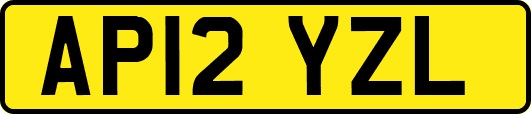 AP12YZL