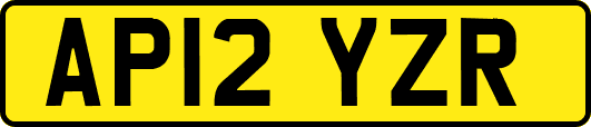 AP12YZR