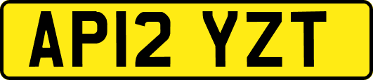 AP12YZT