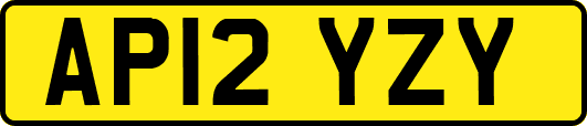 AP12YZY
