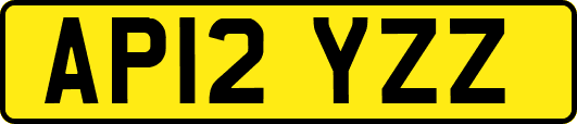 AP12YZZ