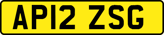 AP12ZSG