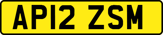 AP12ZSM
