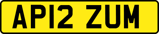 AP12ZUM
