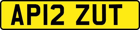 AP12ZUT