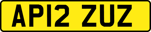 AP12ZUZ