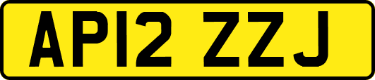 AP12ZZJ