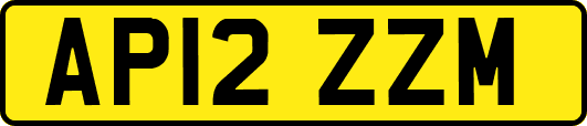 AP12ZZM