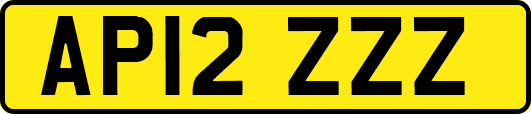 AP12ZZZ
