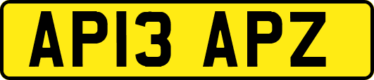 AP13APZ