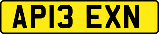 AP13EXN