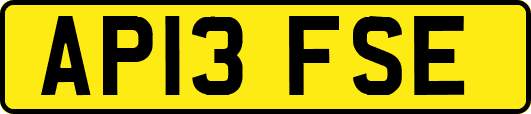 AP13FSE