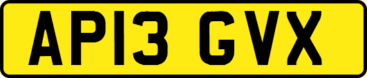 AP13GVX