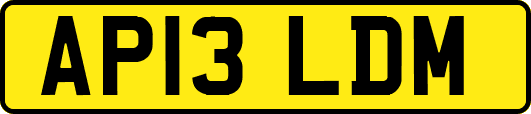 AP13LDM