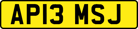 AP13MSJ