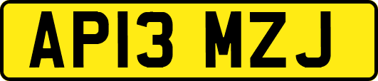 AP13MZJ
