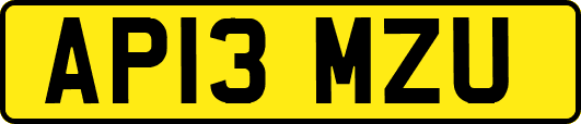 AP13MZU