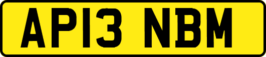 AP13NBM