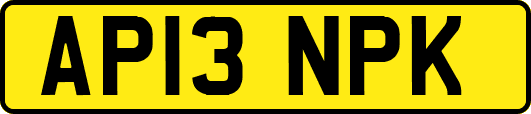 AP13NPK