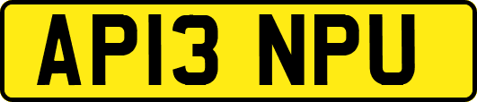 AP13NPU