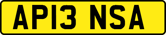 AP13NSA