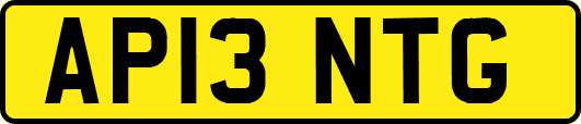 AP13NTG