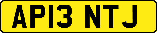 AP13NTJ