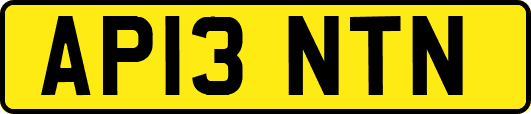 AP13NTN