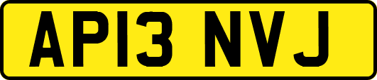 AP13NVJ