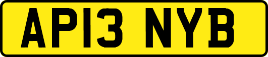 AP13NYB