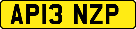 AP13NZP