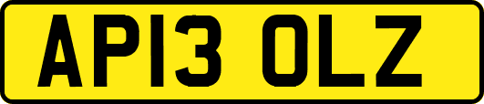 AP13OLZ