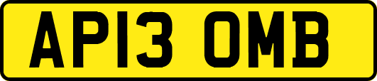 AP13OMB