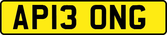 AP13ONG