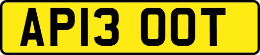 AP13OOT